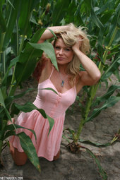 Picture 6 - Meet Madden In The Cornfield