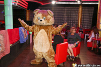 Party Animals on Dancing Bear